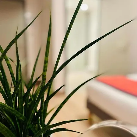 Au Coeur Des Bulles Hotell